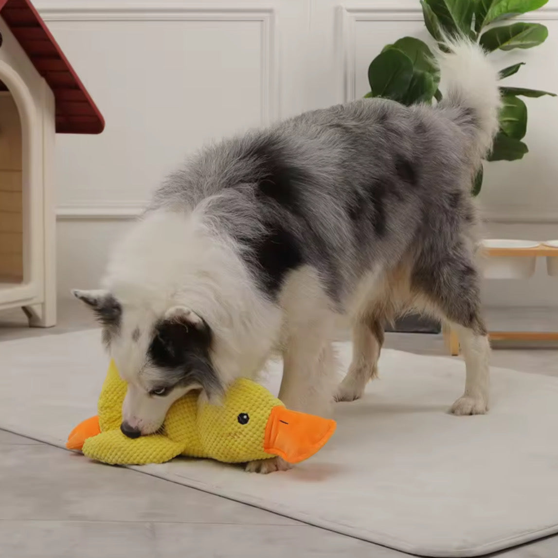 Peluche Anatra da Compagnia – Morbido, Resistente e Confortevole