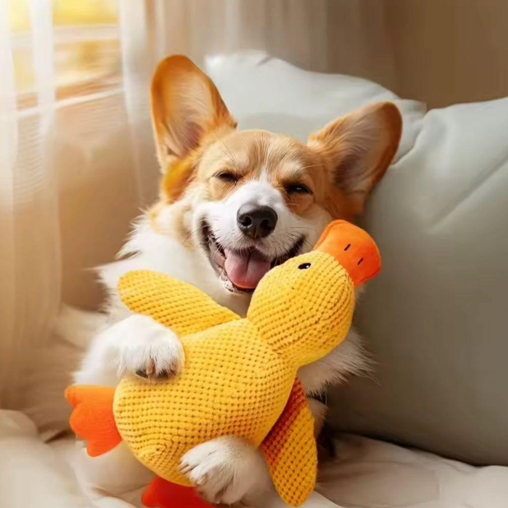 Peluche Anatra da Compagnia – Morbido, Resistente e Confortevole